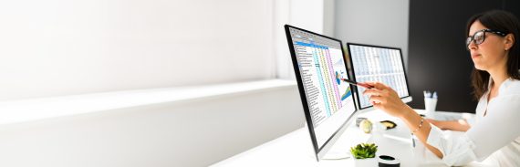 Fideli-Tax 2023 © Designconcept4you